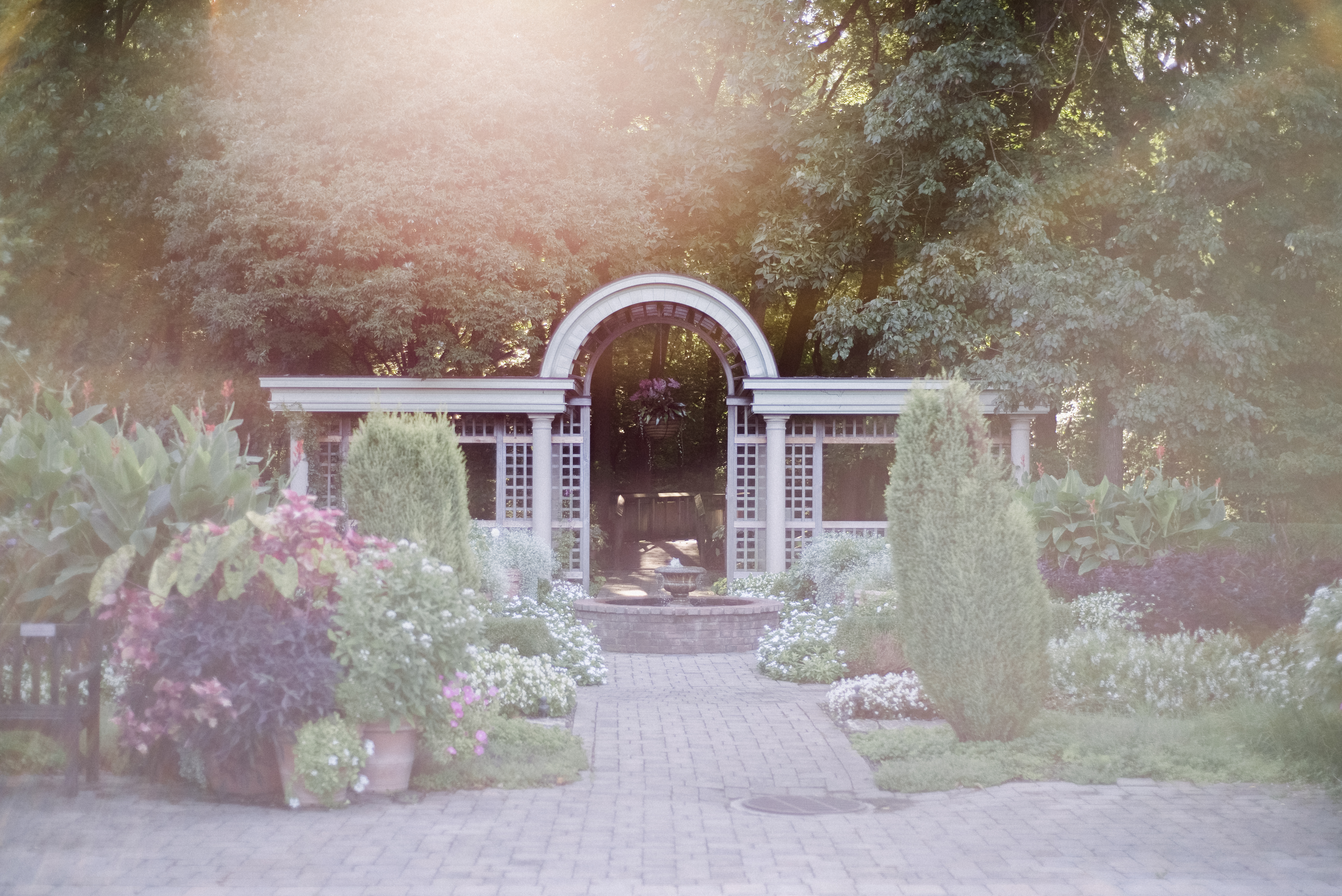 Portrait Locations in Dayton: Indoor, Outdoor & More